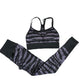 Tiger Print Seamless Gym Set